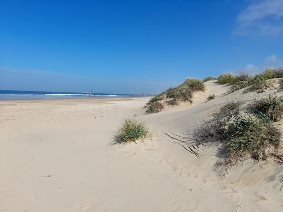 Apartamento Playa La Barrosa 奇克拉纳－德拉弗龙特拉 外观 照片