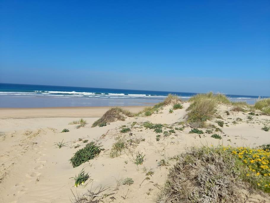 Apartamento Playa La Barrosa 奇克拉纳－德拉弗龙特拉 外观 照片