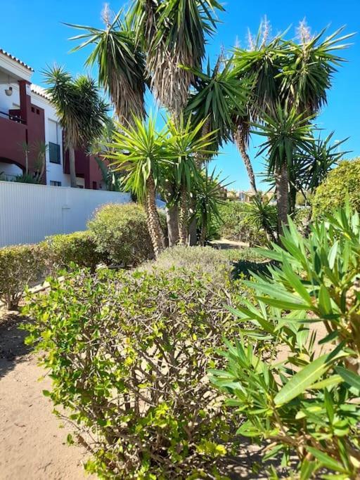 Apartamento Playa La Barrosa 奇克拉纳－德拉弗龙特拉 外观 照片