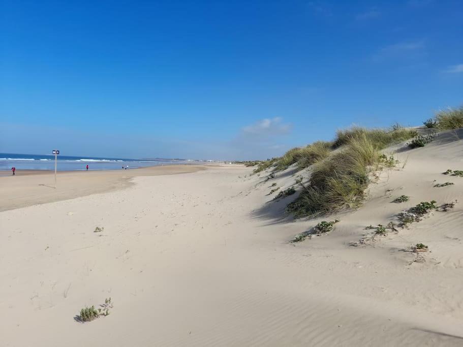 Apartamento Playa La Barrosa 奇克拉纳－德拉弗龙特拉 外观 照片