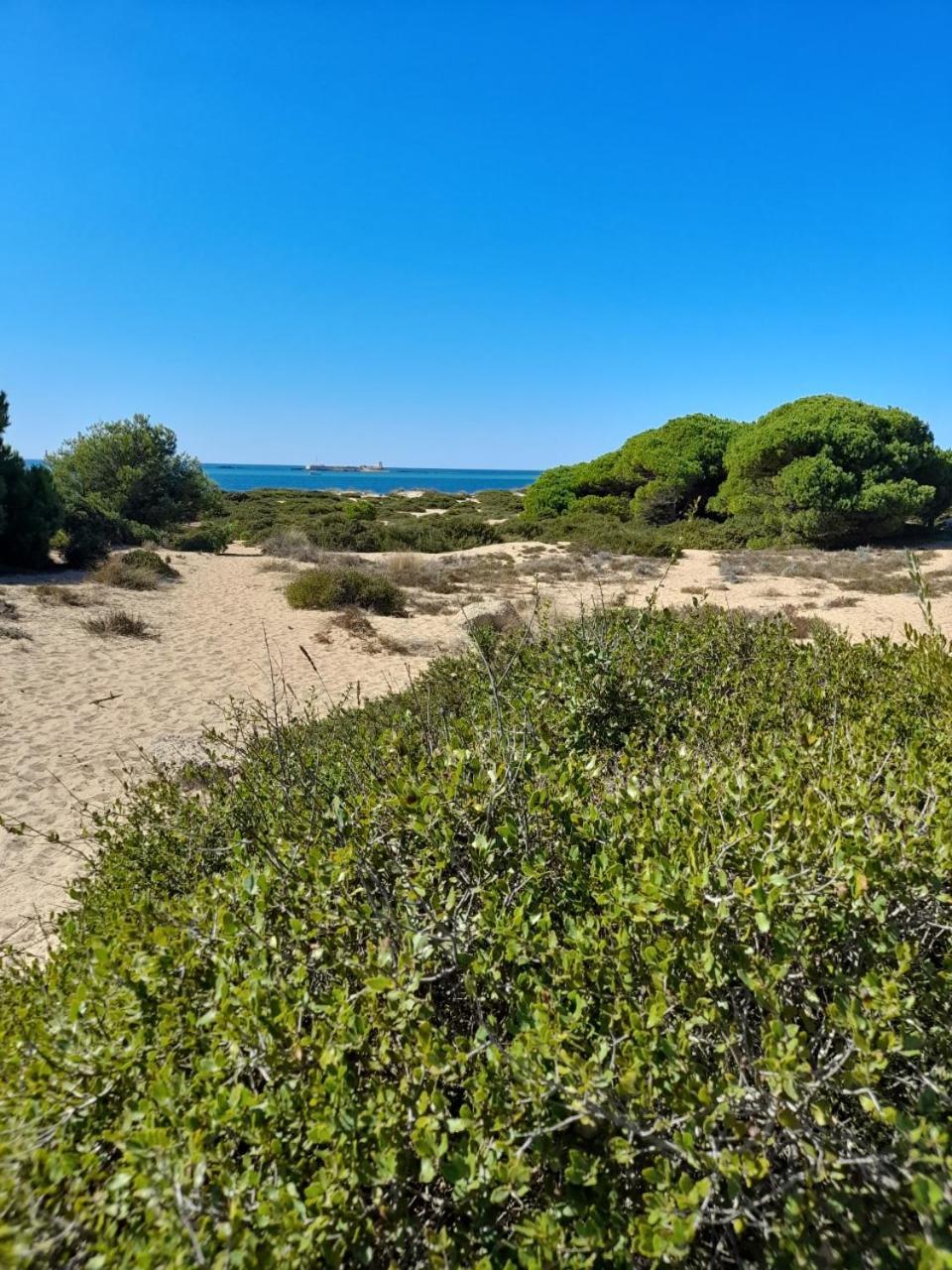 Apartamento Playa La Barrosa 奇克拉纳－德拉弗龙特拉 外观 照片