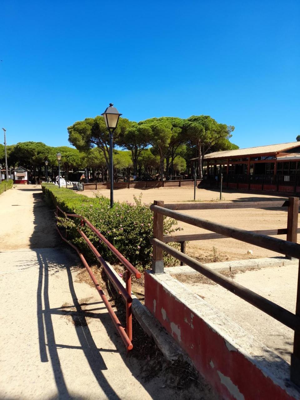 Apartamento Playa La Barrosa 奇克拉纳－德拉弗龙特拉 外观 照片