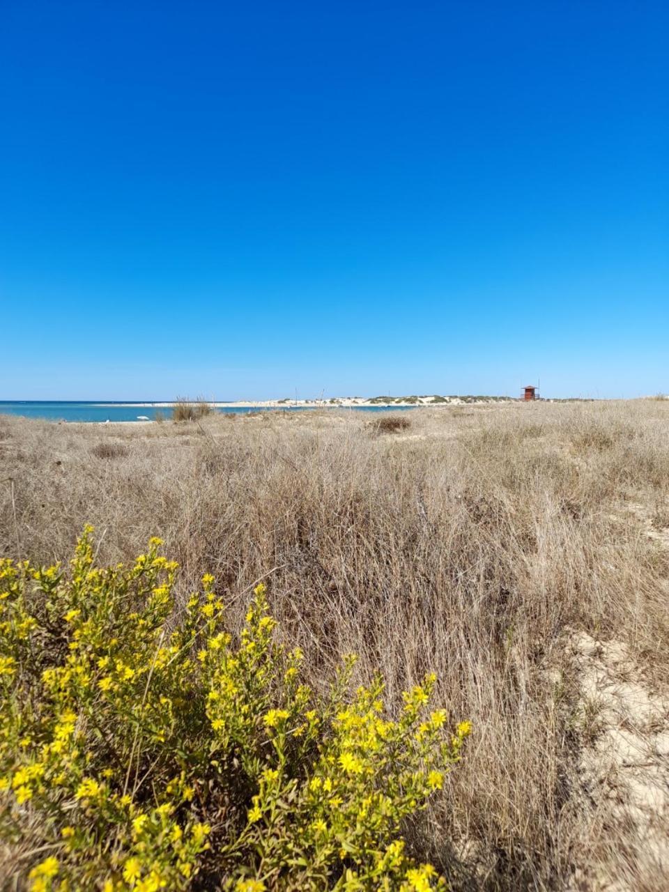 Apartamento Playa La Barrosa 奇克拉纳－德拉弗龙特拉 外观 照片