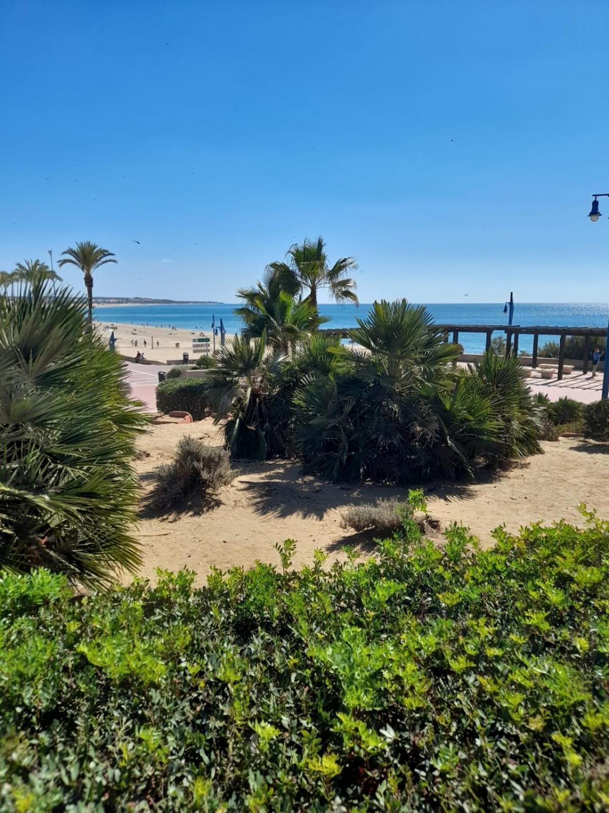 Apartamento Playa La Barrosa 奇克拉纳－德拉弗龙特拉 外观 照片