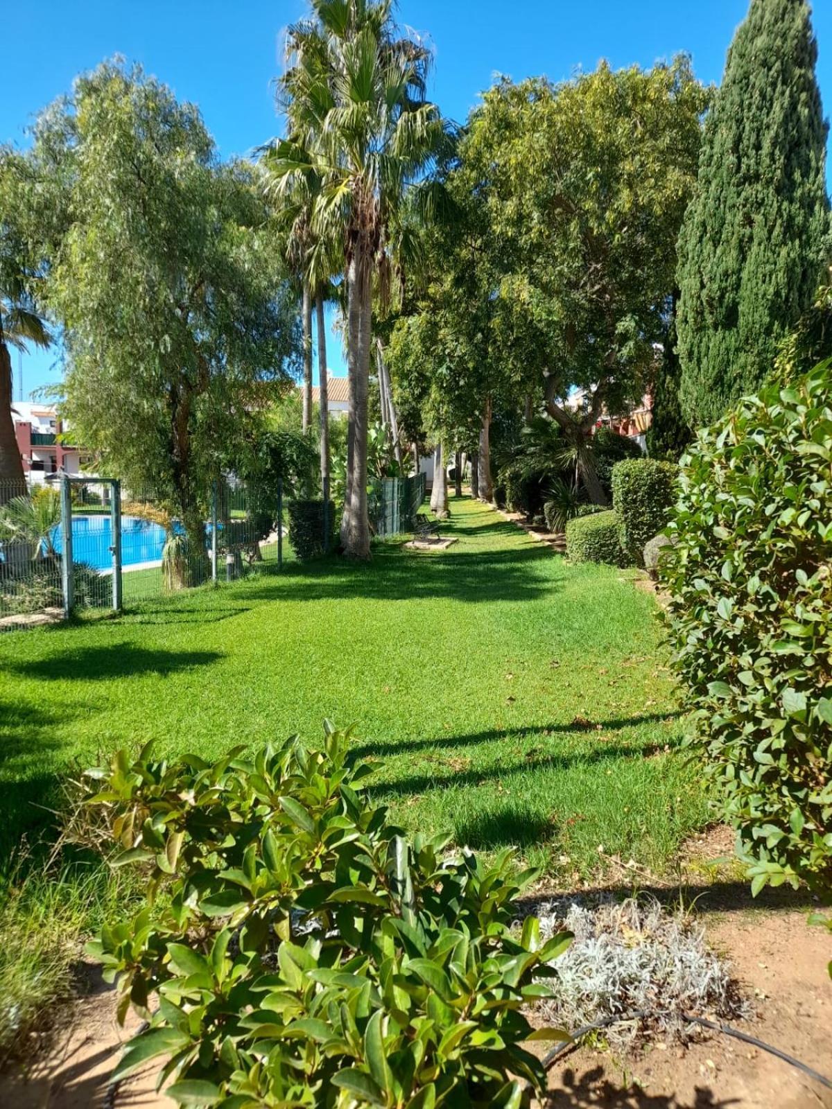 Apartamento Playa La Barrosa 奇克拉纳－德拉弗龙特拉 外观 照片